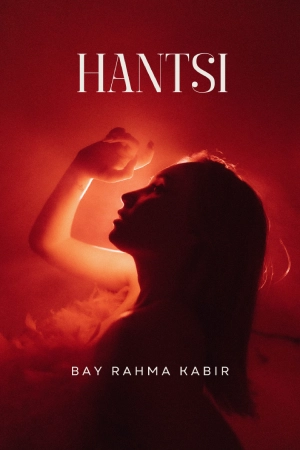 hantsi hausa novel