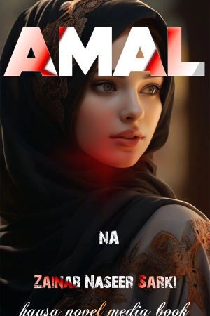 Amal Hausa Novel