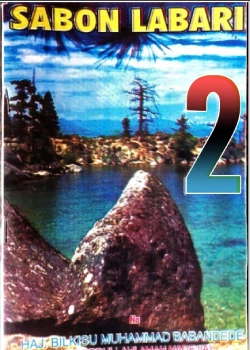 Sabon labari 2 hausa novel