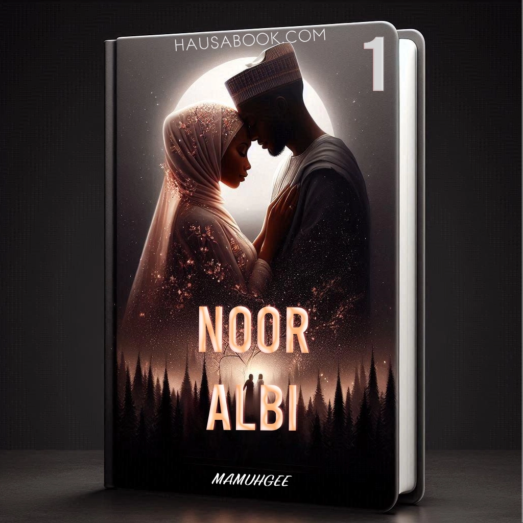 Noor Albi Book 1 Hausa Novel By Mamuhgee